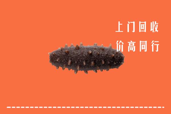 高价求购：文昌回收海参