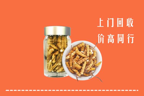 文昌回收冬虫夏草